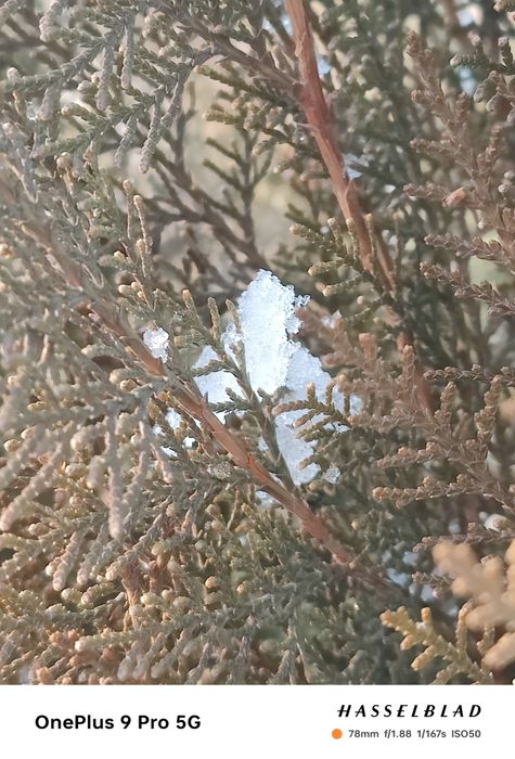 OnePlus 9 pro| Ванплас 9 про