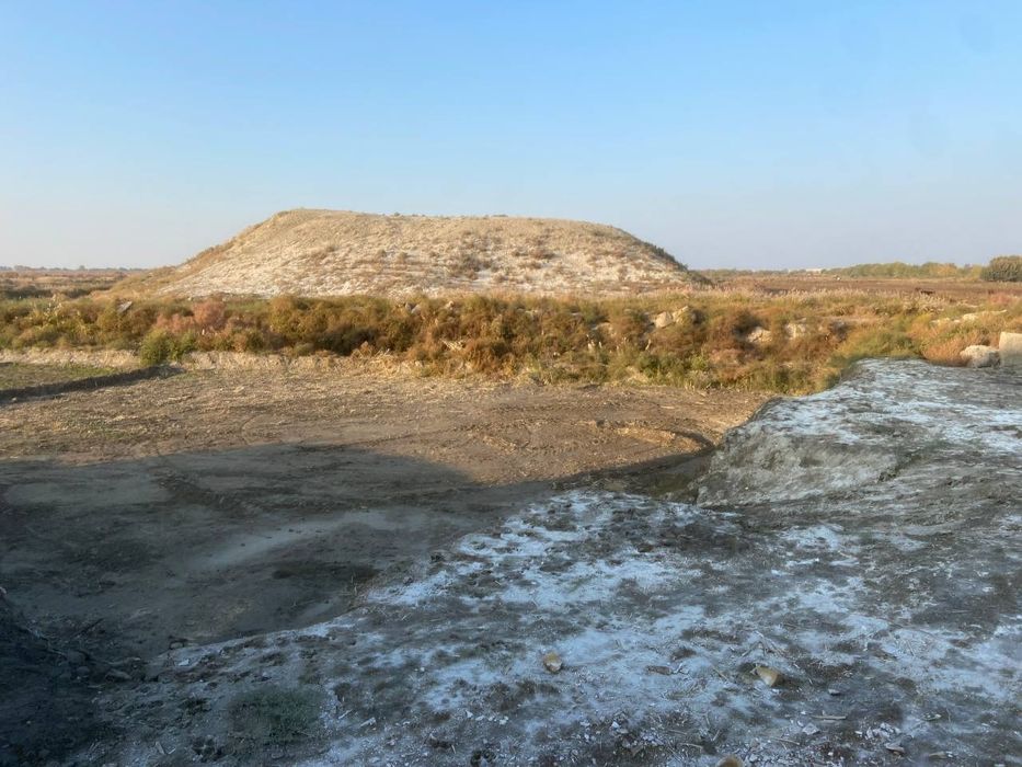 Yer sotiladi madaniyat shexon