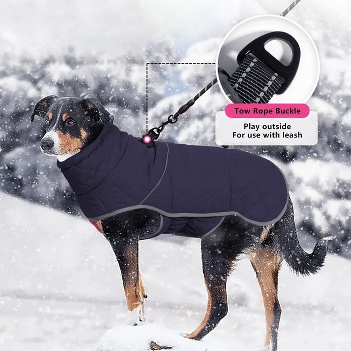 Кучешка термо дреха в два размера.