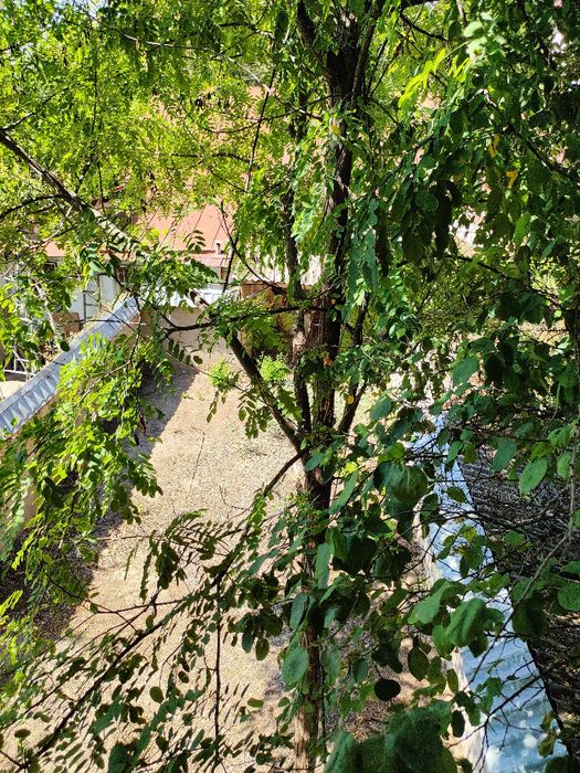 Свой Участок 5,6 соток , центр ЛУНАЧАРСКОГО.