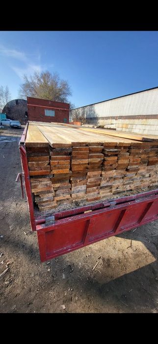 Лиственница. Алматы