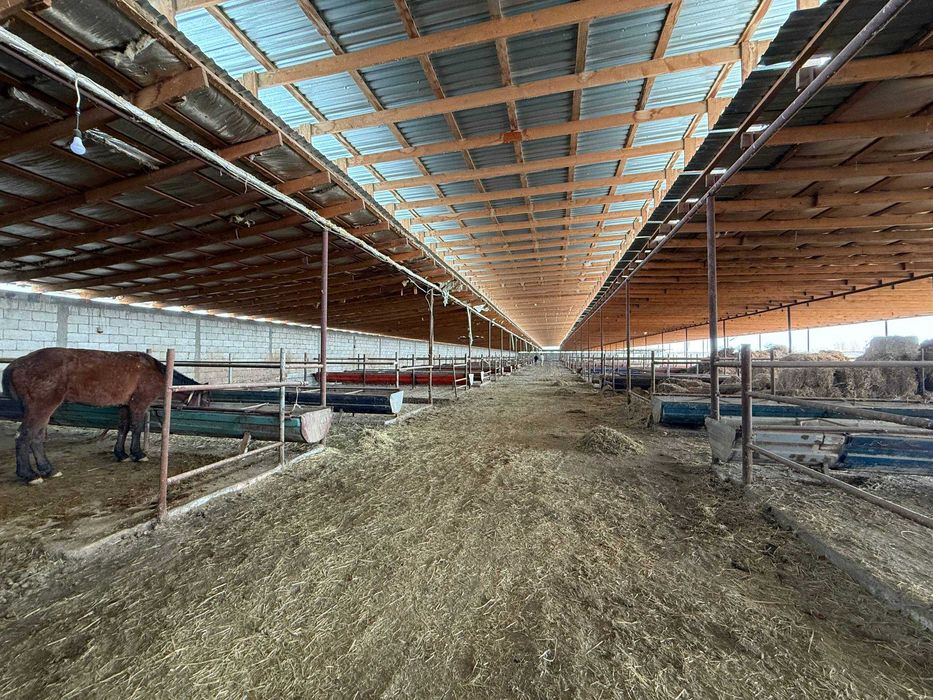 TAYYOR 4 GEKTARLI JOY Sotiladi #a730