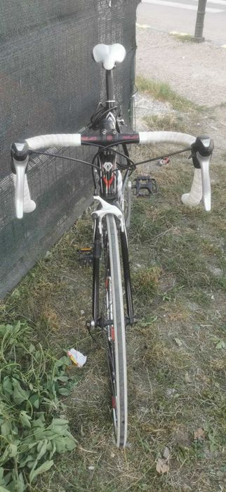 Cursiera Soria Diamond Ultra (S 50cm)