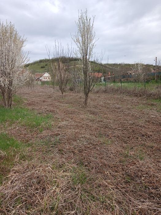 Casa de vânzare în Toparcea
