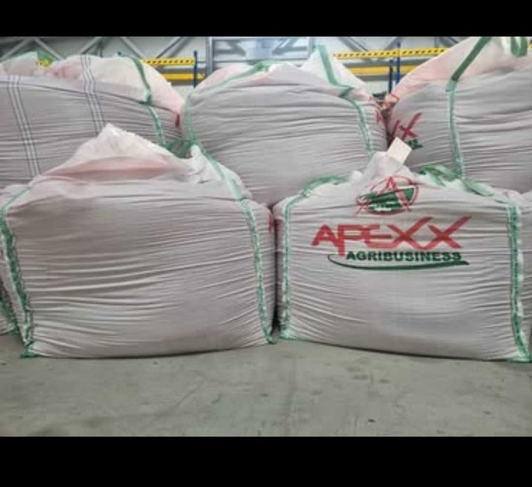 Samanta de grau C1 Glosa