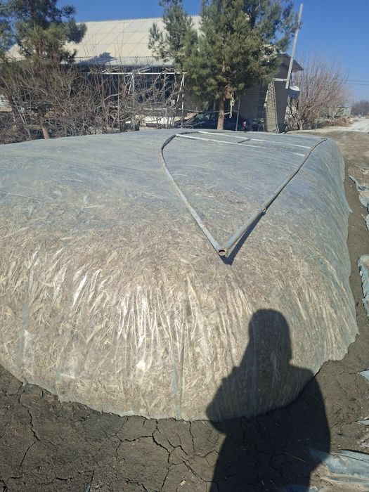 Makka silyos sotiladi