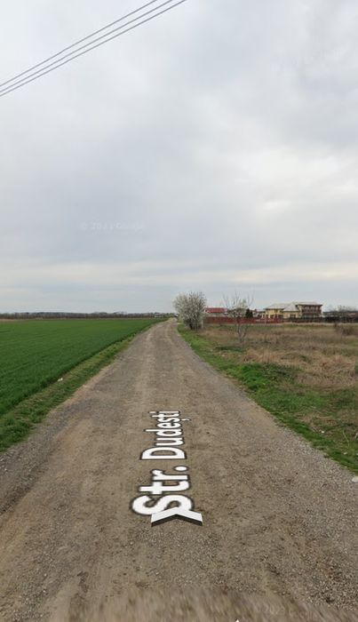 10000 Mp, FRUMUȘANI, Pădurișu