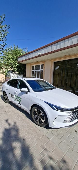Бевади бирнчи кул 2025 п 50 м