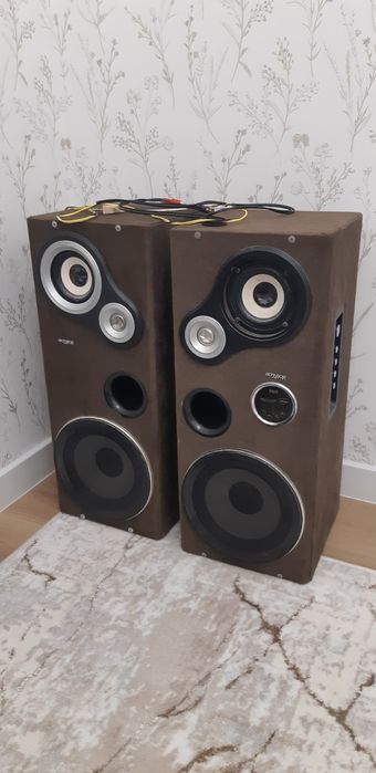 Kolonka xolati yaxshi ishlaydi chiqarishi tiniq