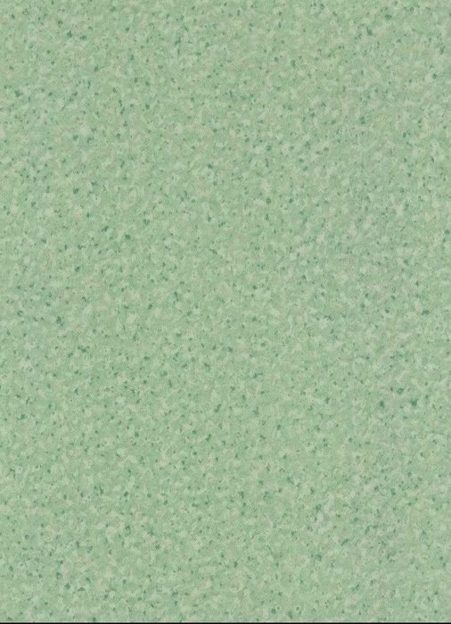 Linoleum linolium leonelom