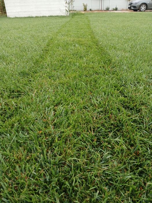 Servicii pentru gradina ta