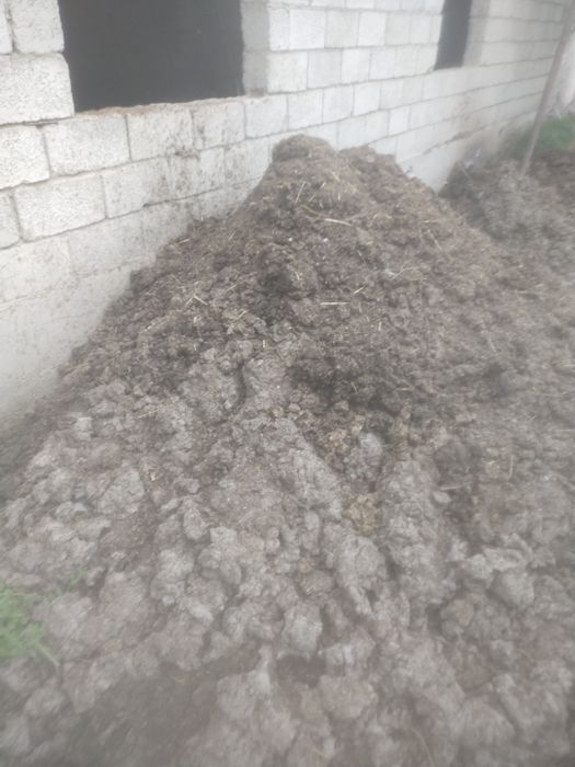 Toza nuri sotiladi