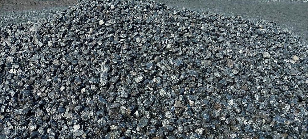 Шубаркуль семечка!