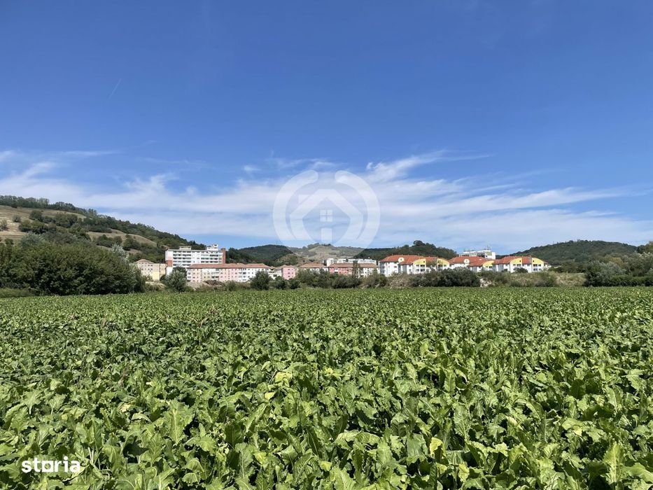 Teren intravilan Medias | 13700 mp | Deschidere 242 ml la drum public