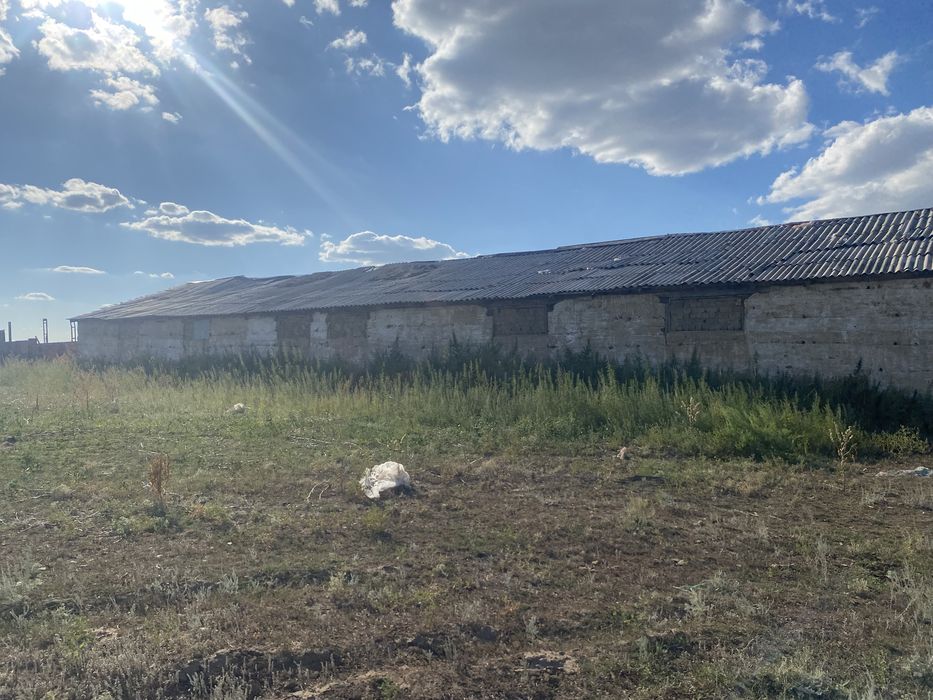 Крестьянское хозяйство