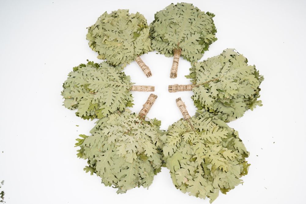 Метлички за сауна дъб/бреза. Веники для бани дуб/берёза. 2025