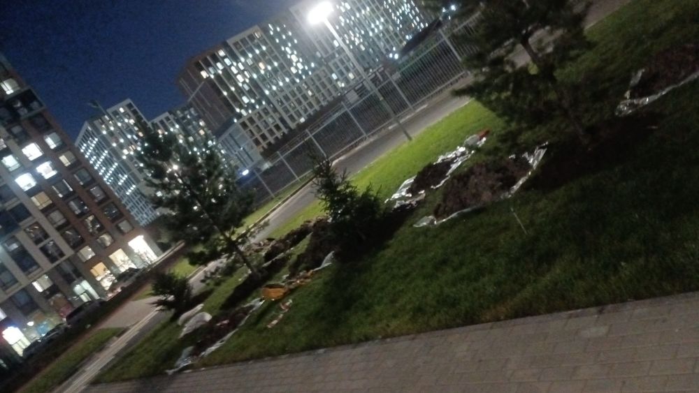 Посадка деревьев и кустарников