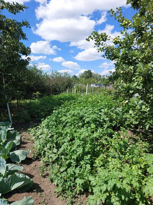 Продаётся дача, Федоровка