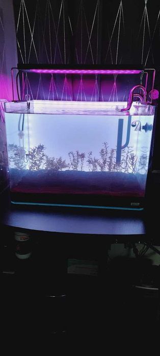 Acvariu 70L utilat, filtru, lampa Chihiros