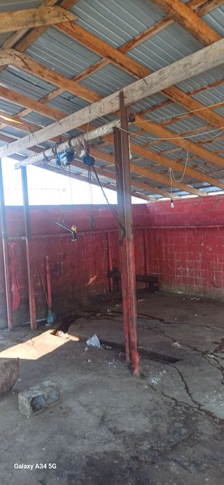 Откорм сатылады   120