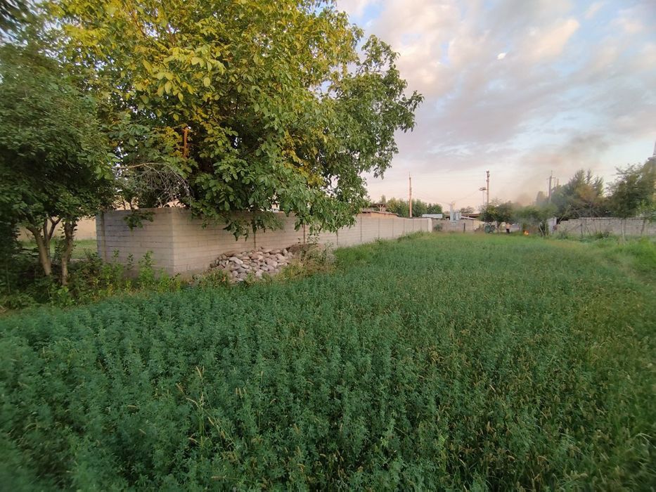 Продаётся Дом в центре Янгибазара.