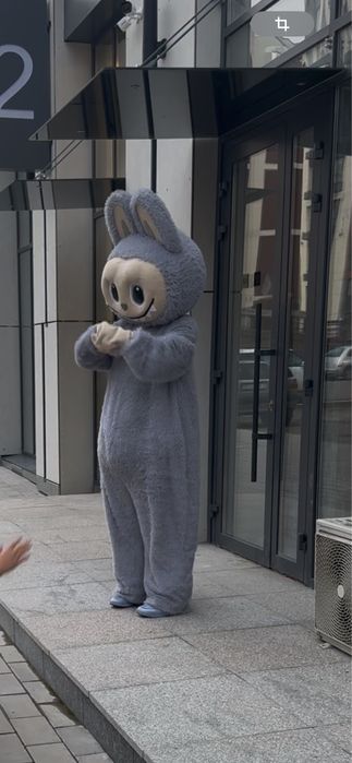 Продам костюм Лабубу ростовой