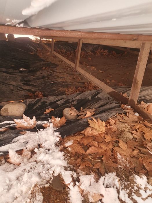 Силос.    ( silos )