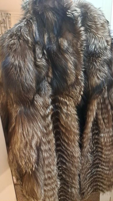 Vand blana vulpe perfecta stare, Italia