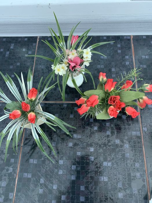 Декоративные цветы