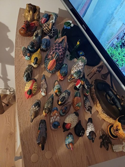 Vând lot rățuște!