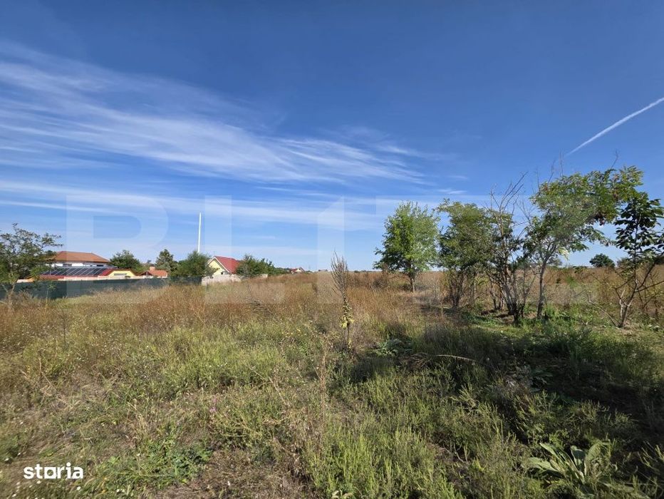 Vanzare teren 4 hectare
