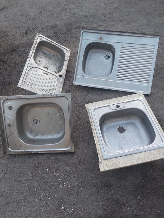 Раковина тюльпан