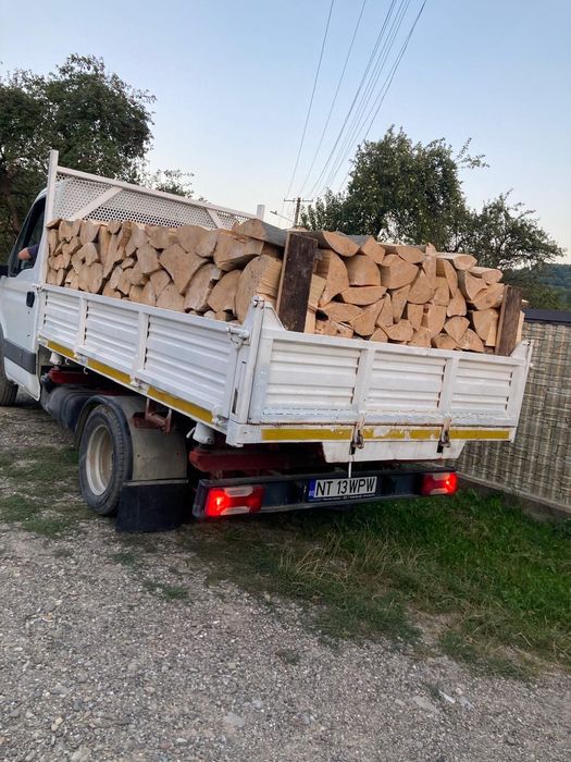 Lemne pentru foc, fag