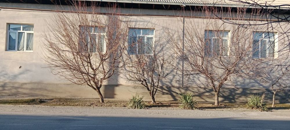 Бунедкор Янги 16йиллик