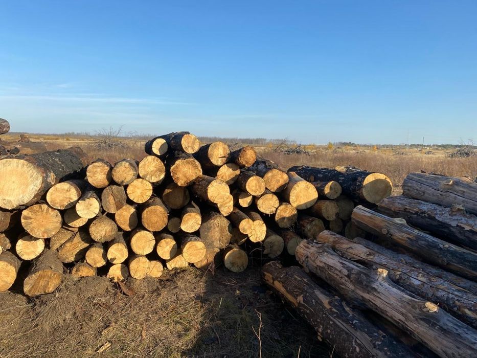 Дрова чурки  столбики жерди