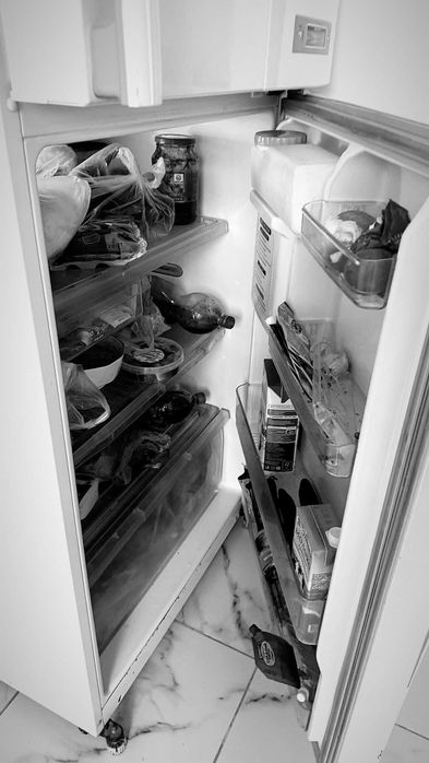 Холодильник для дома