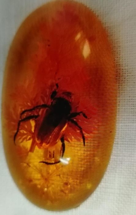 Брошь  ссср янтарь с жучком