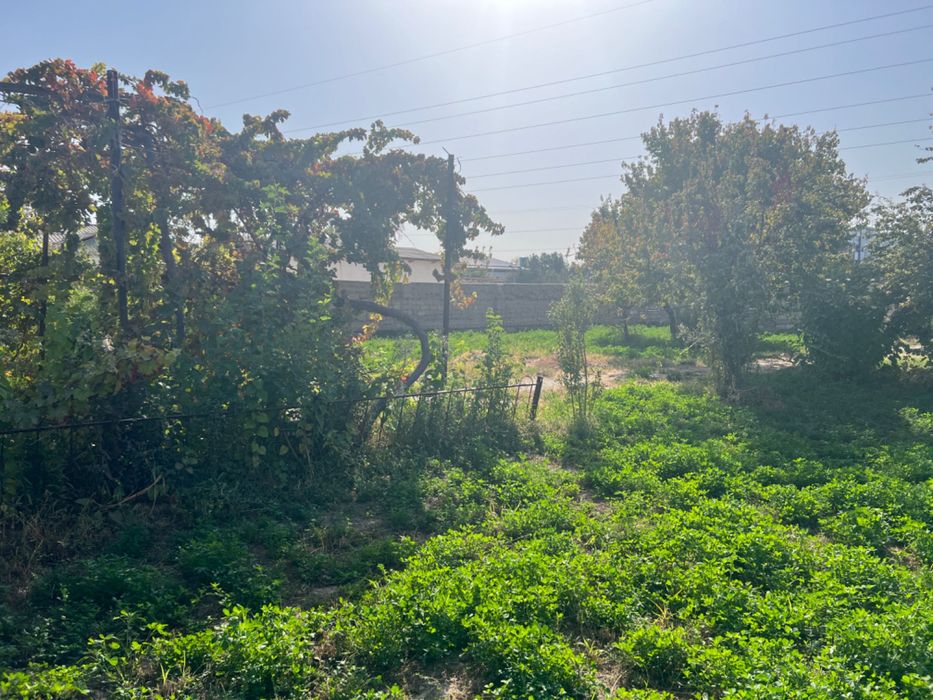 Срочно Уй сотилади!!!