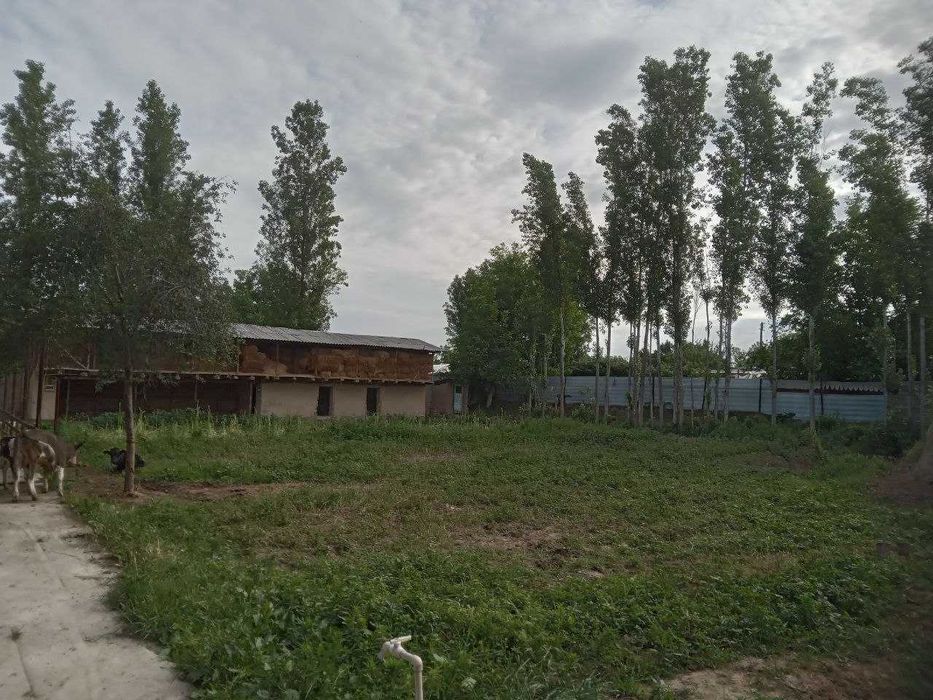 Продам участок 14 соток 9 комната в Юкори Чирчик р-не, Ободон махалла
