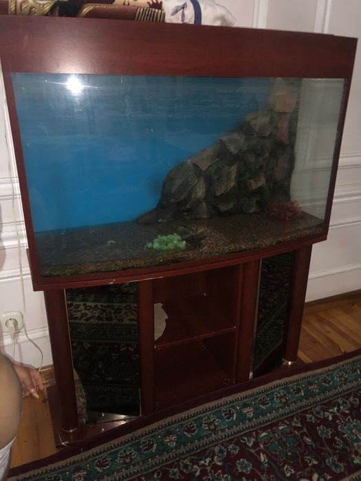 продам аквариум большой