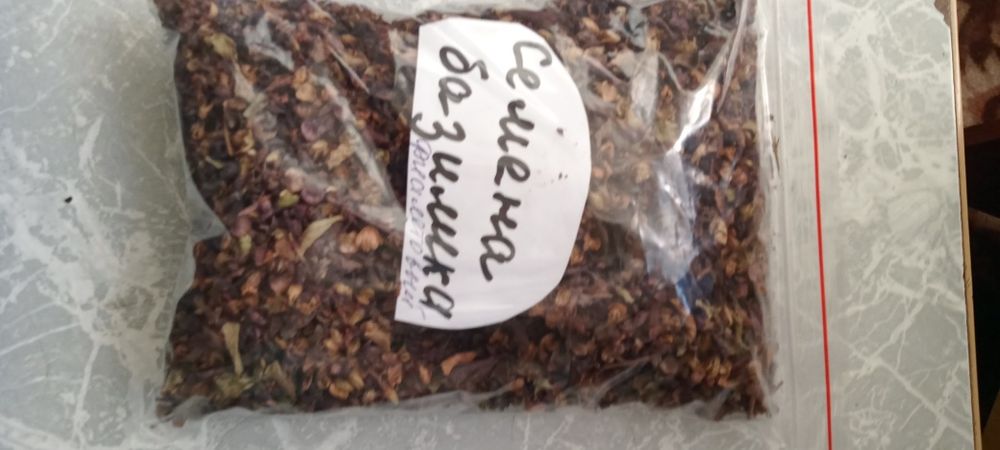 Продам семена базилика фиолетовый , мелиссы