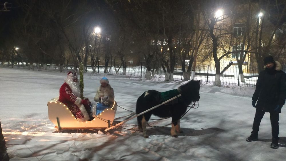 Продам или обменяю пони