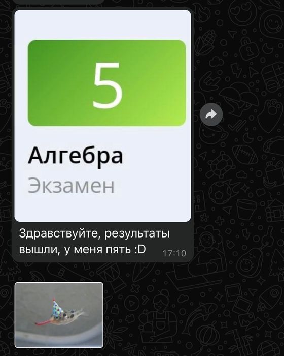 Репетитор по математике | 5-11 класс | ЕНТ