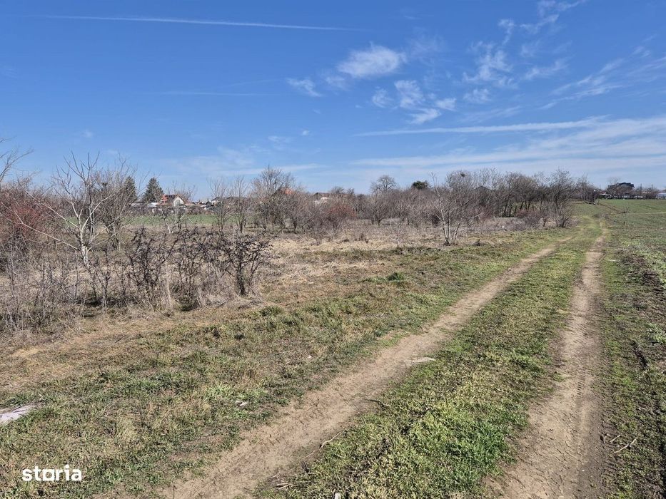Trestieni - Ulmi, vanzare teren 1.663mp, intravilan
