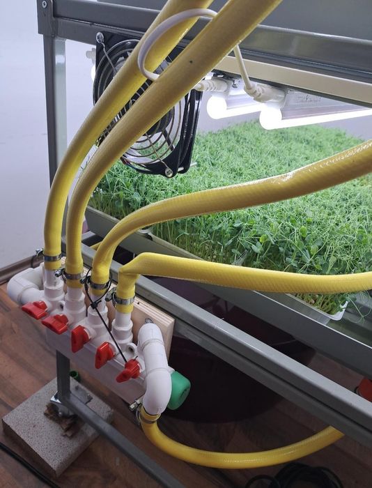 Vand raft hidroponic microplante