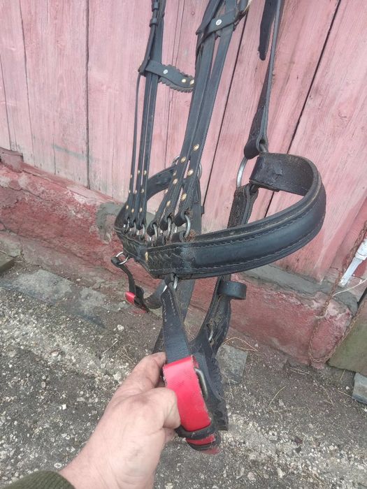 Ham de Cluj și căruță de Lona