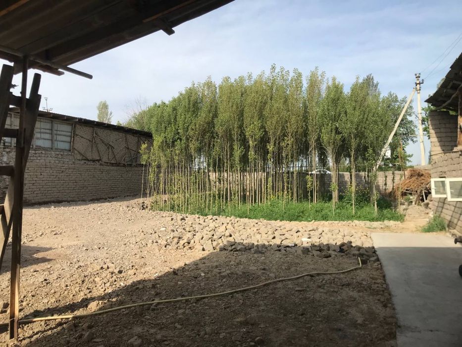 Ер сотилади катта йўл юзида ( Нежилой куриш учун идеал вариант)