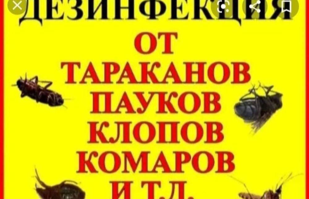 Профессиональные услуги дезинфекции! Гарантия! Договор! Экибастуз!