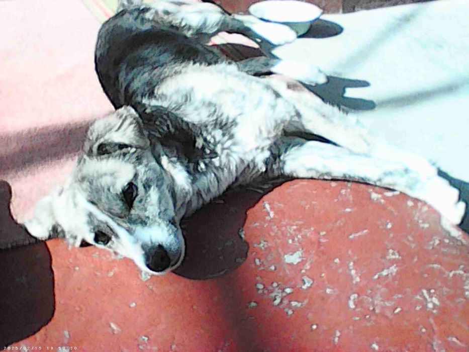 Цифровой фотоаппарат