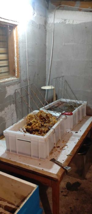 Пчелен мед 100% чист, планински от Стара планина, есен 2024 26кг кутии